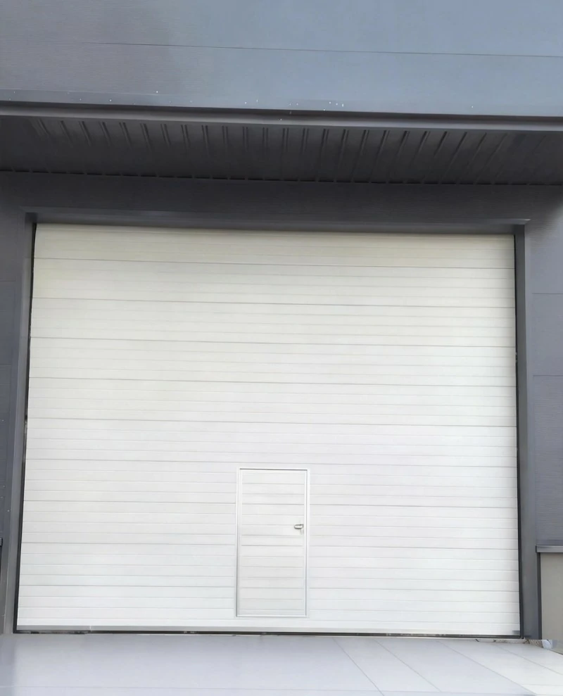 龙岩市高扬程滑升门